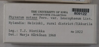 Image Associated With the Occurence